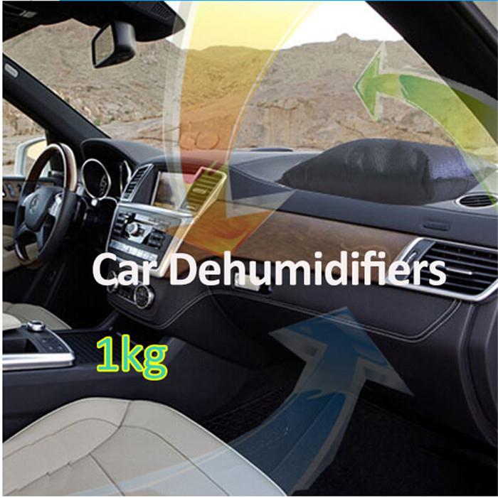 1000g oro chemikalų drėgmės sugėrimo krepšys car4.jpg