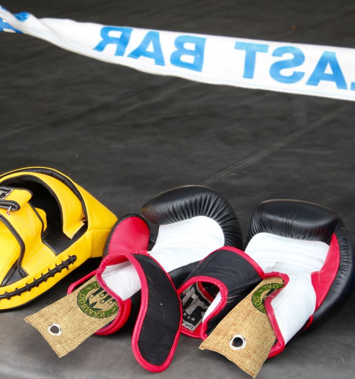 Shoe Odor Absorber Bag
